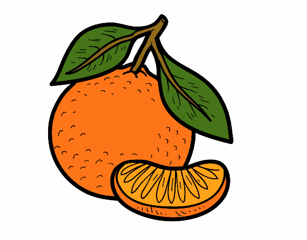 Dibujo Una mandarina pintado por WTFJE