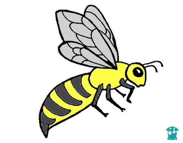 Abeja 2