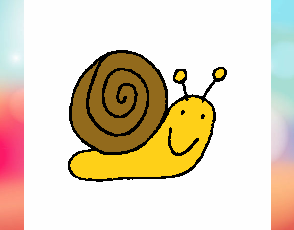 Caracol 4