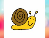 Caracol 4