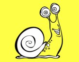 Caracol feliz