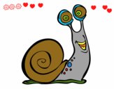 Caracol feliz