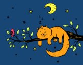 El gato y la luna