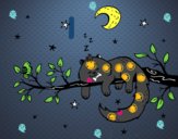 El gato y la luna