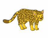 Dibujo El guepardo pintado por AmeAmeAme