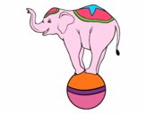 Elefante equilibrista