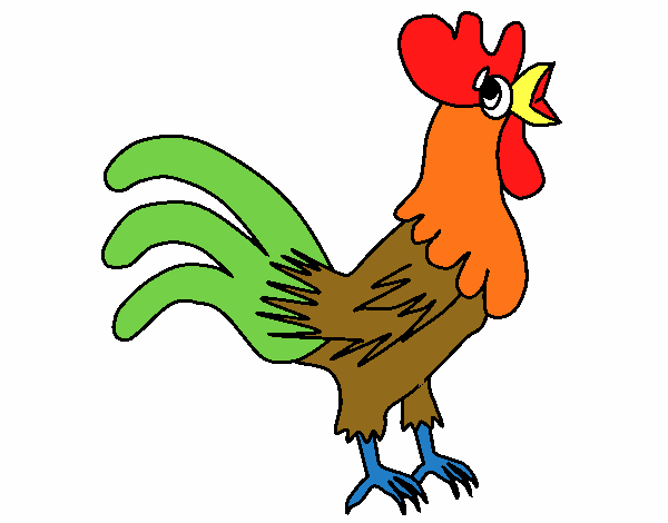 Gallo 2