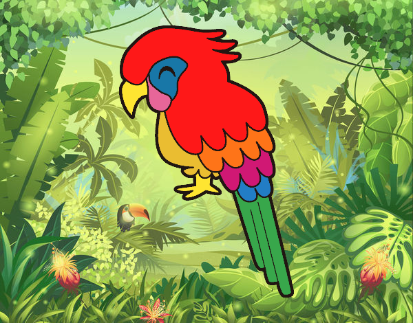 Guacamayo