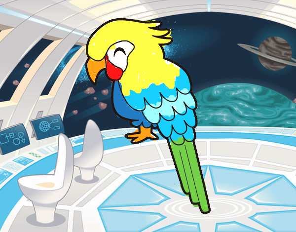 Guacamayo