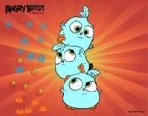 Las crias de Angry Birds