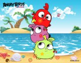 Las crias de Angry Birds