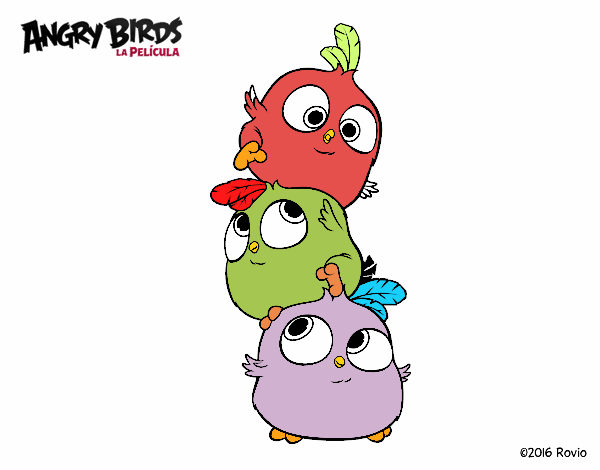 angry birds