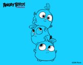 Las crias de Angry Birds