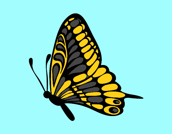 mariposa .monarca