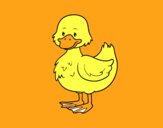 Patito de granja