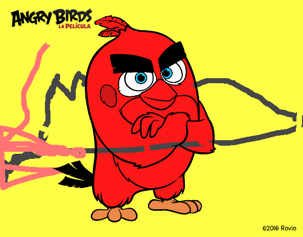 Red de Angry Birds