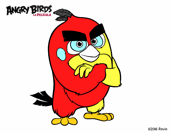 Red de Angry Birds