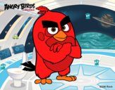 Red de Angry Birds