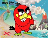 Red de Angry Birds