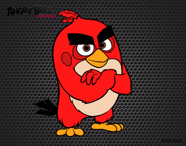 Red de Angry Birds