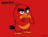 Red de Angry Birds