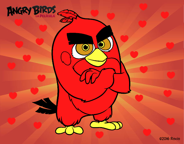 Red de Angry Birds