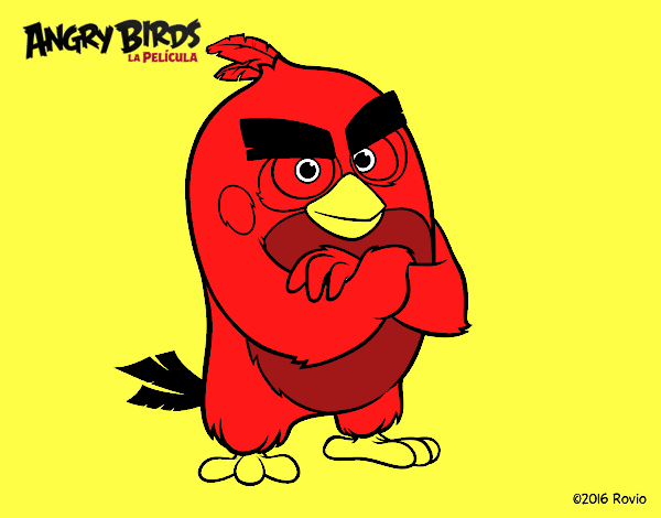 Red de Angry Birds