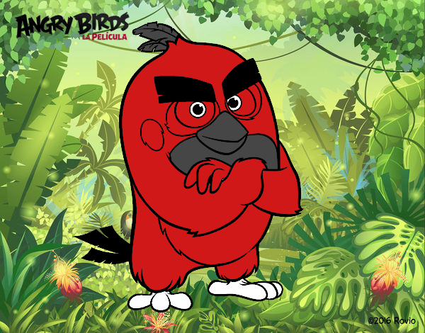 Red de Angry Birds