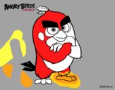 Red de Angry Birds