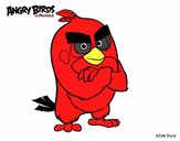 Red de Angry Birds