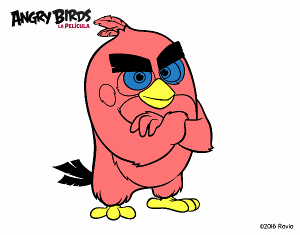 Red de Angry Birds