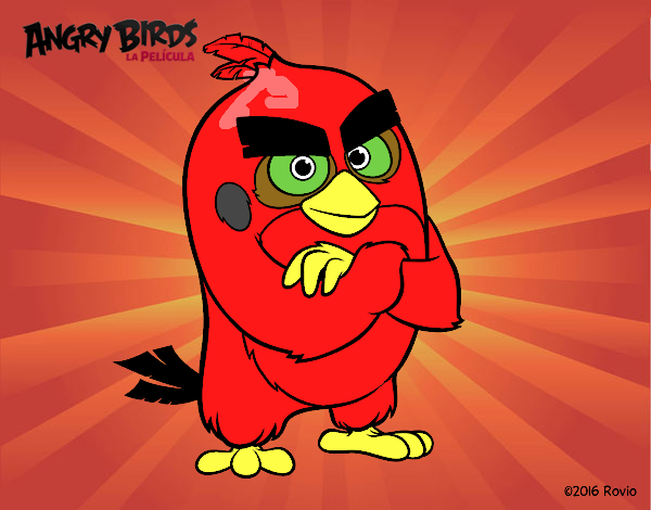 Red de Angry Birds