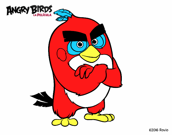 Red de Angry Birds