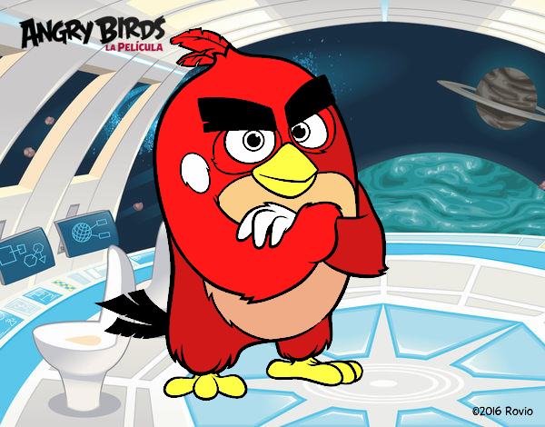 Red de Angry Birds