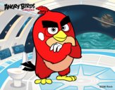 Red de Angry Birds