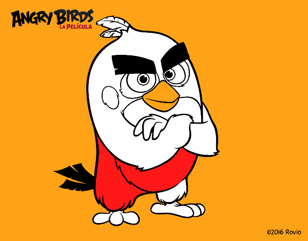 Red de Angry Birds