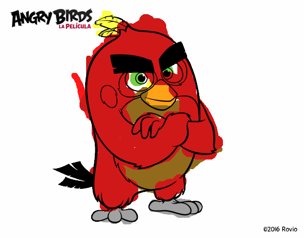 Red de Angry Birds