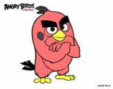 Red de Angry Birds