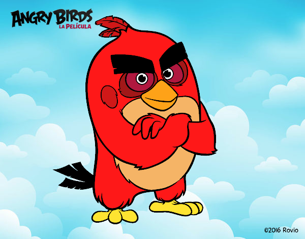 Red de Angry Birds