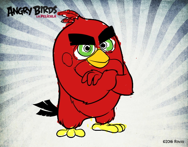 Red de Angry Birds