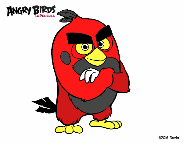 Red de Angry Birds