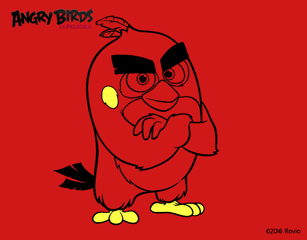 Red de Angry Birds