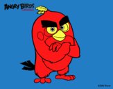 Red de Angry Birds