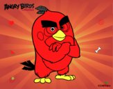 Red de Angry Birds