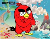 Red de Angry Birds