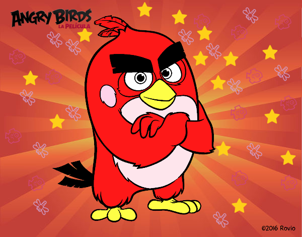 Red de Angry Birds