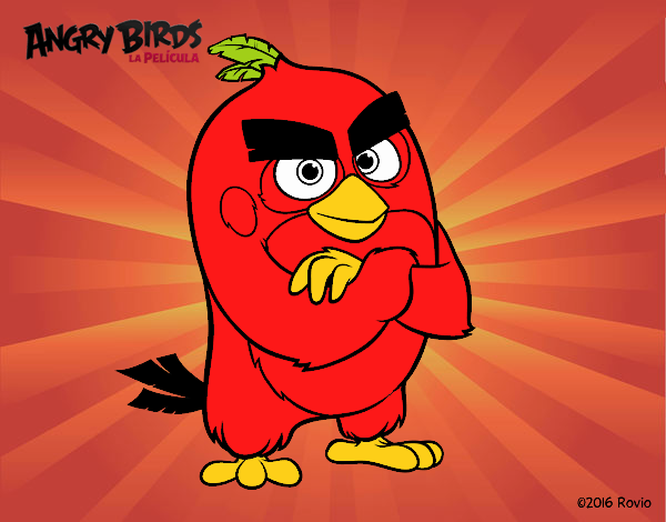 Red de Angry Birds