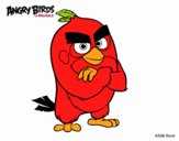 Red de Angry Birds