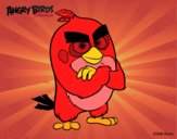 Red de Angry Birds