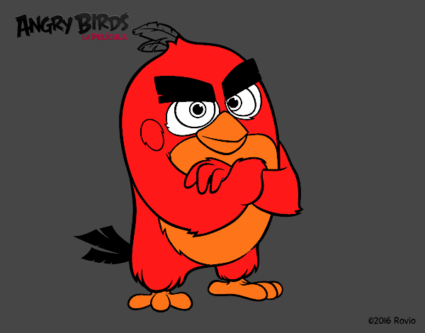 Red de Angry Birds